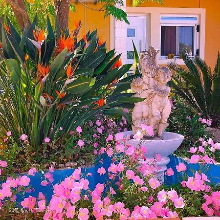 Iris Apartment Near Corfu Town Kontokali Extérieur photo